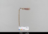 藏品(中國湖北皮影戲偶身-單手)的圖片